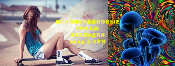ПСИЛОЦИБИНОВЫЕ ГРИБЫ Алексин