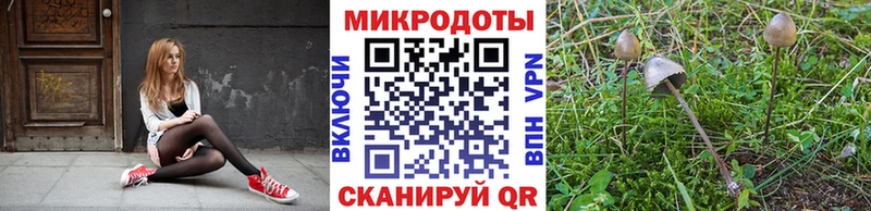 Псилоцибиновые грибы мицелий Красноуральск